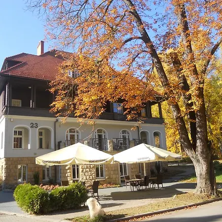 Lessing 4*