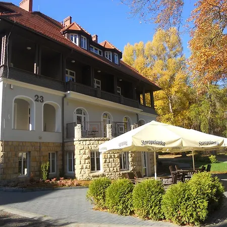 Lessing פולניסה-ז'דוז'